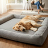 cooling large dog bed clearance