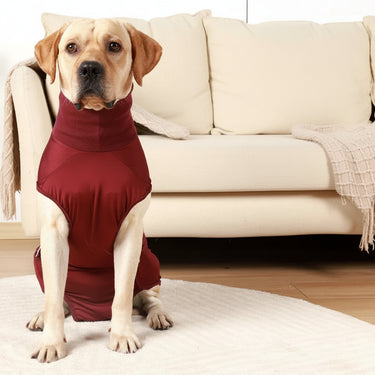 Recovery Shirt For Dogs