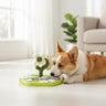 Dog Slow Feeder