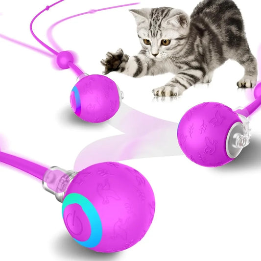 Interactive Indoor Cat Toy Ball Motion Activated USB Purple