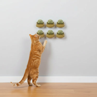 Catnip Mint Ball Toy Set
