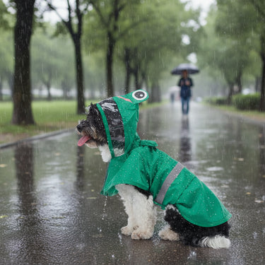 Dog Raincoat
