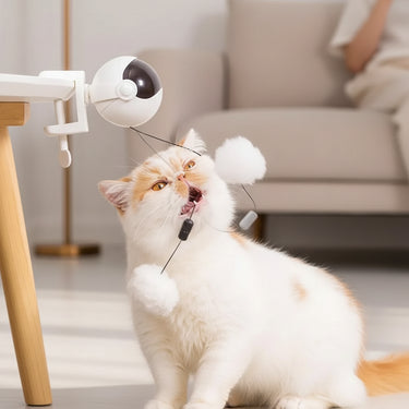 Cat Toy Ball YoYo