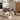 Automatic Cat Feeder Timed