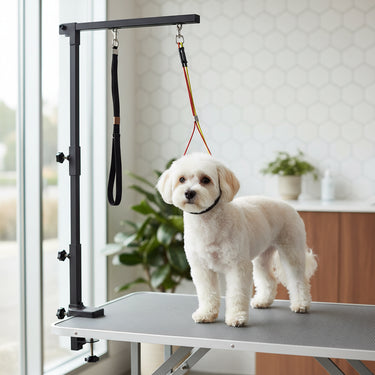 hydraulic grooming table