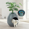cat litter box