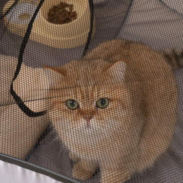 cat tunnel