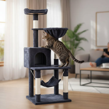 Multilevel Cat Tree Cat