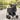 Pet Stroller