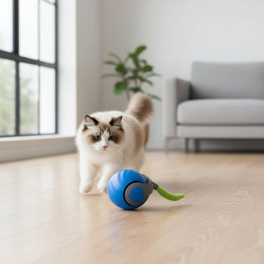 Smart Interactive Dog Toy Ball