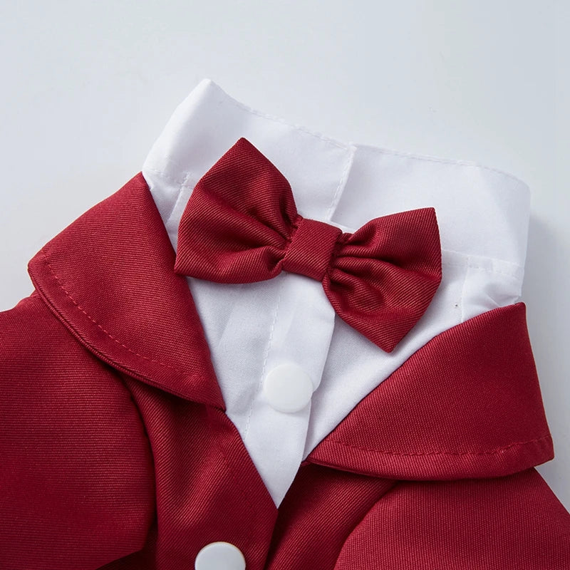 Dog Tuxedo Wedding Suit With Bow Tie For Small Medium Dogs