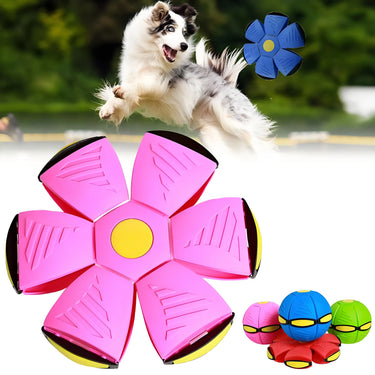 Flying Saucer Ball Dog Toy