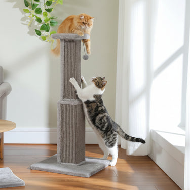 Tall Cat Scratching Post