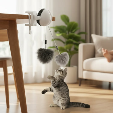 Cat Toy Ball YoYo