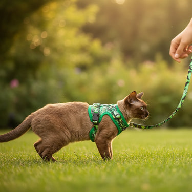 Green Cat Harness