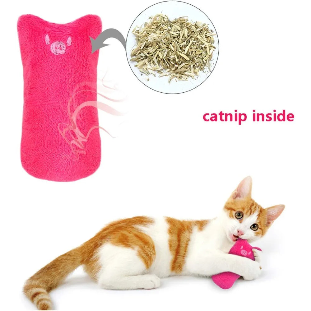 Bite Resistant Catnip Toys For Cats Teething Mice Cartoon