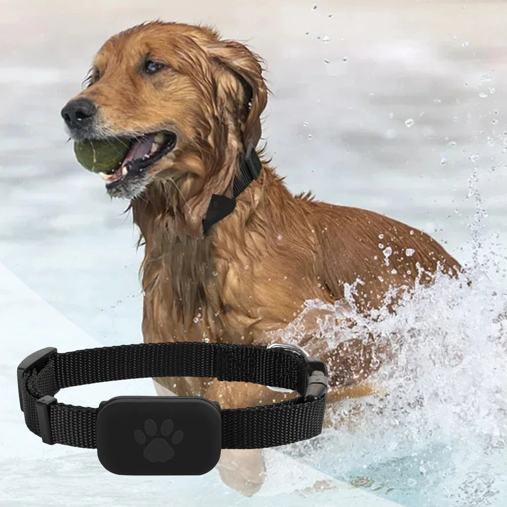 Smart Pet Tracker With Adjustable Collar For Cats And Dogs