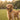 Smart Pet Tracker