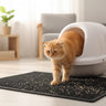 cats litter mat