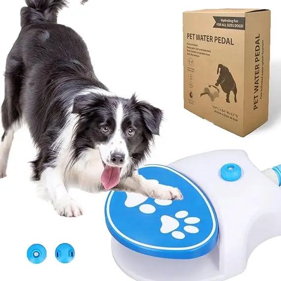 Outdoor Dog Water Fountain Foot Activated Dispenser