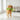 Pets Dog Squeaky Toy