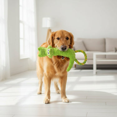 Pets Dog Squeaky Toy