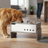 dog feeder