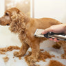 Dog grooming hair clipper kit