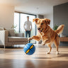 Flying Saucer Ball Dog Toy