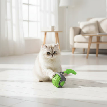 Cat Interactive Ball Toys 