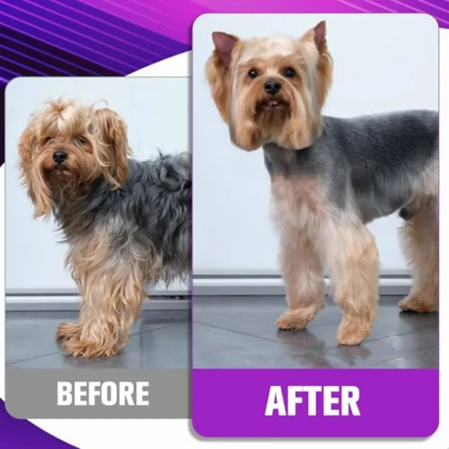 Dog Grooming Scissors Set 6.5 7 Inch Straight Up Down Curved