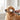 Dog grooming hair clipper kit