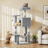 cats towers