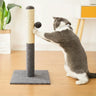 Cats Scratching Post